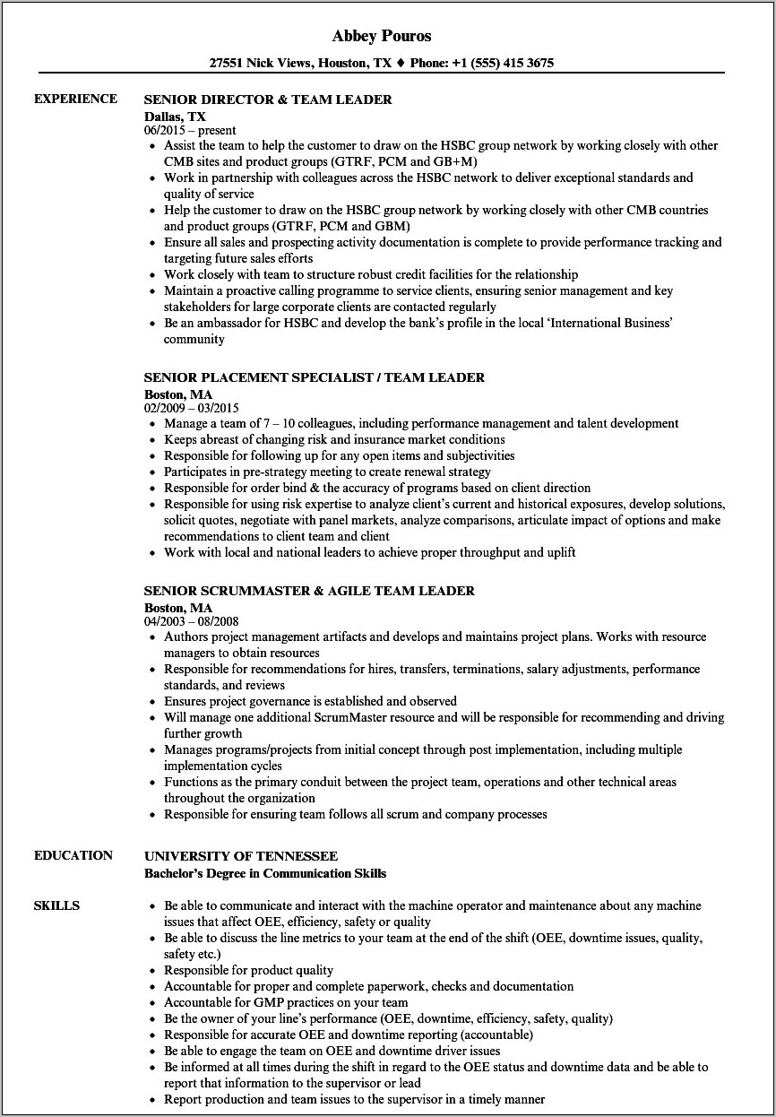 Group Leader Job Description For Resume