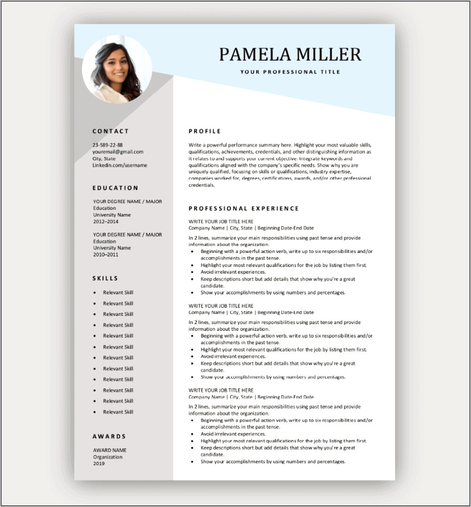 Information Technology Fresher Resume Template United States