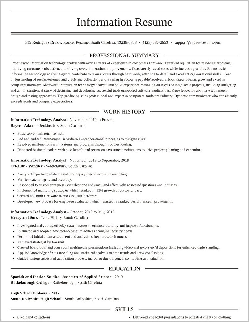Information Technology Professional Summary Example For Resume
