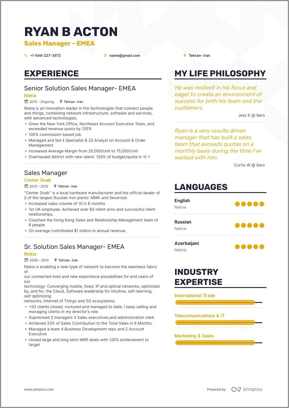 Innovative Resume Examples For Sales Jobs
