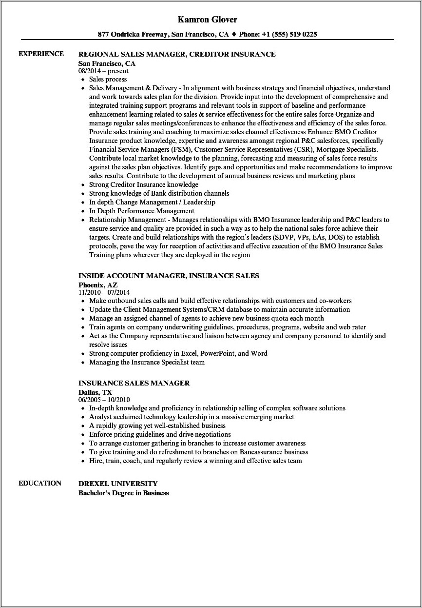Insurance Account Manager Job Description For Resume