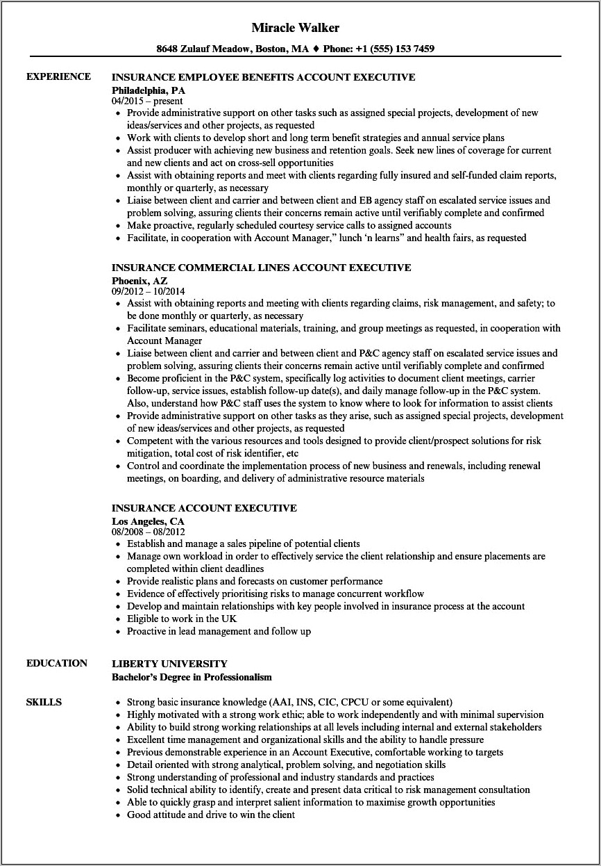 Insurance Account Manager Skills For Resume