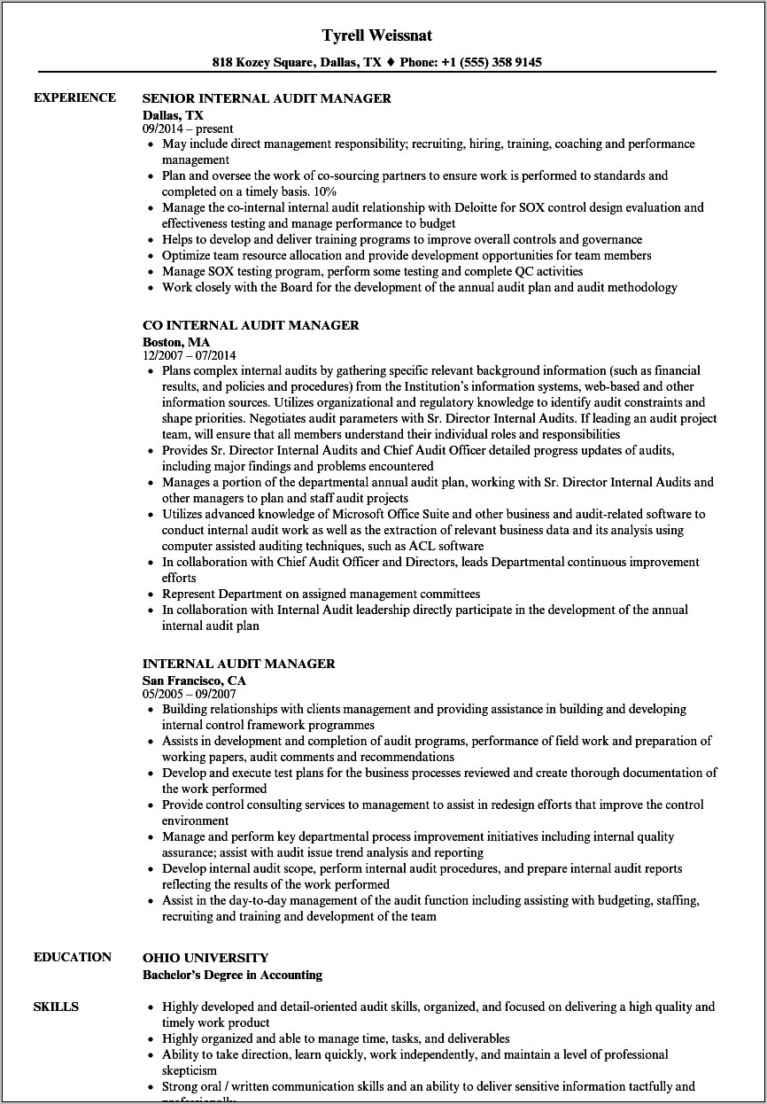 Internal Audit Analyst Job Summary For Resume