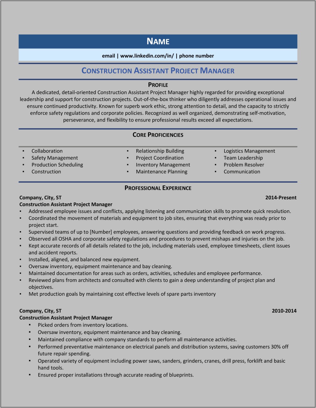It Assistant Project Manager Resume