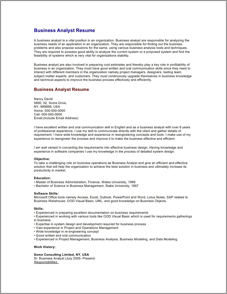 It Business Analyst Resume Sample With Objective