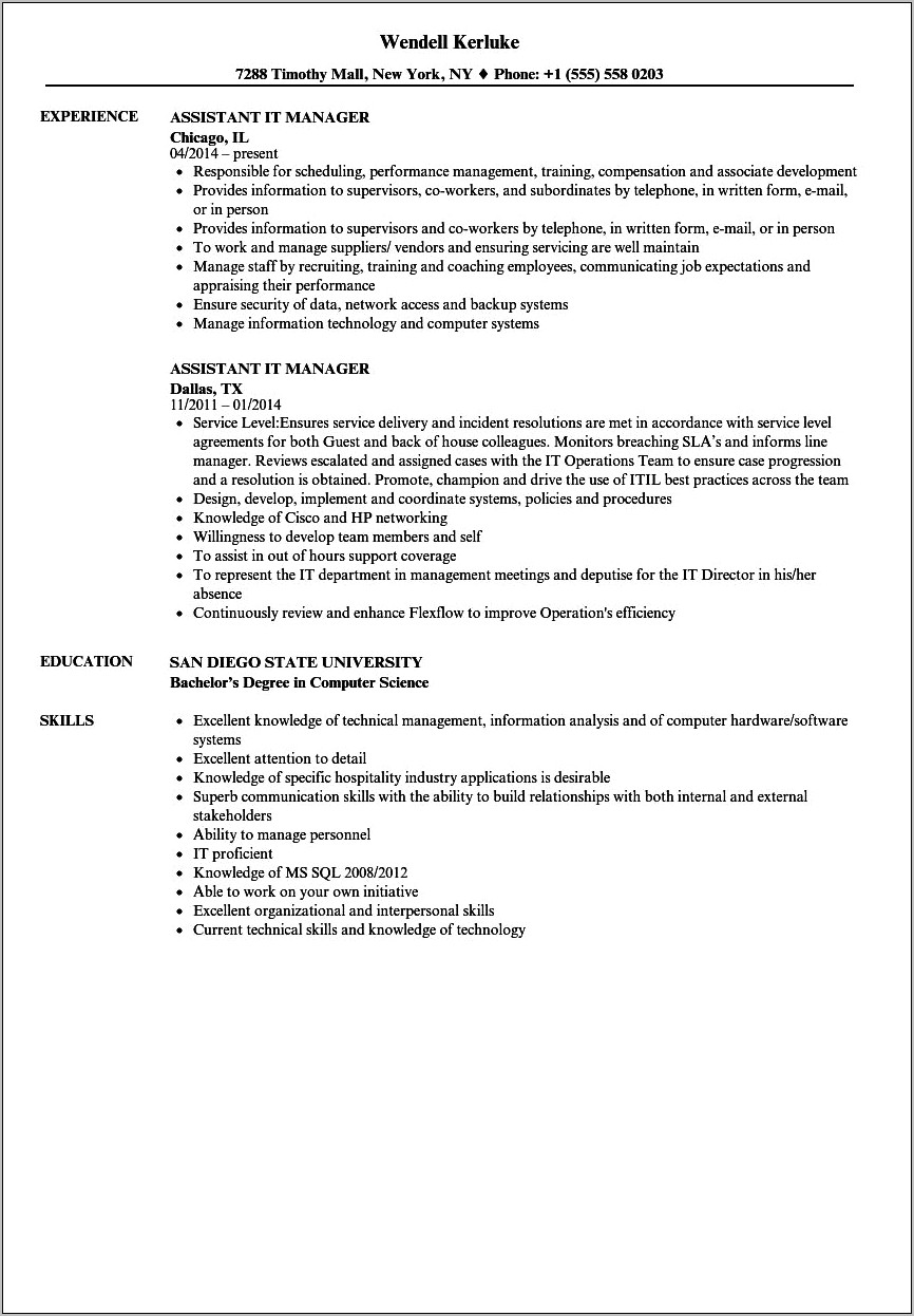 It Director Job Description Resume