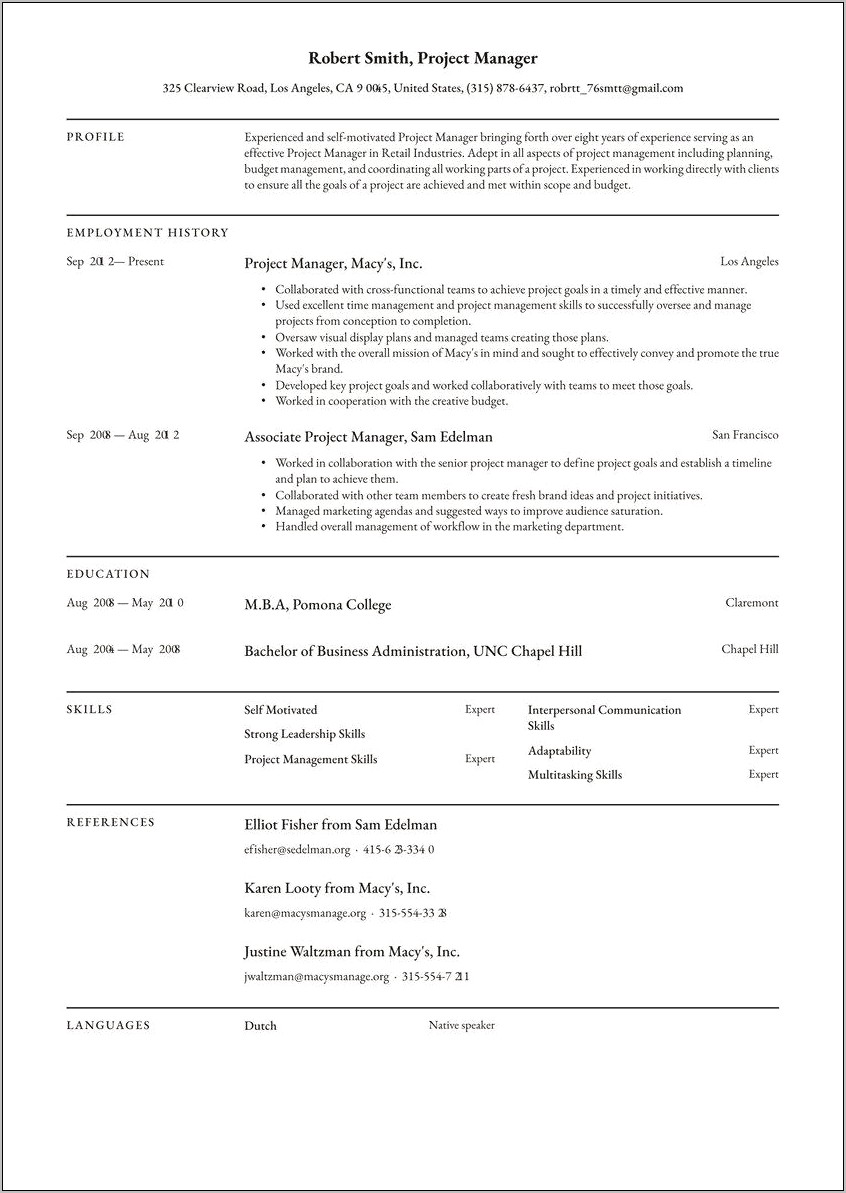 It Project Manager Technical Skills Resume