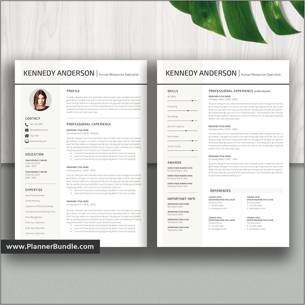It Resume Templates For Microsoft Word