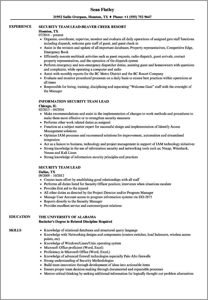 It Team Lead Job Description Resume