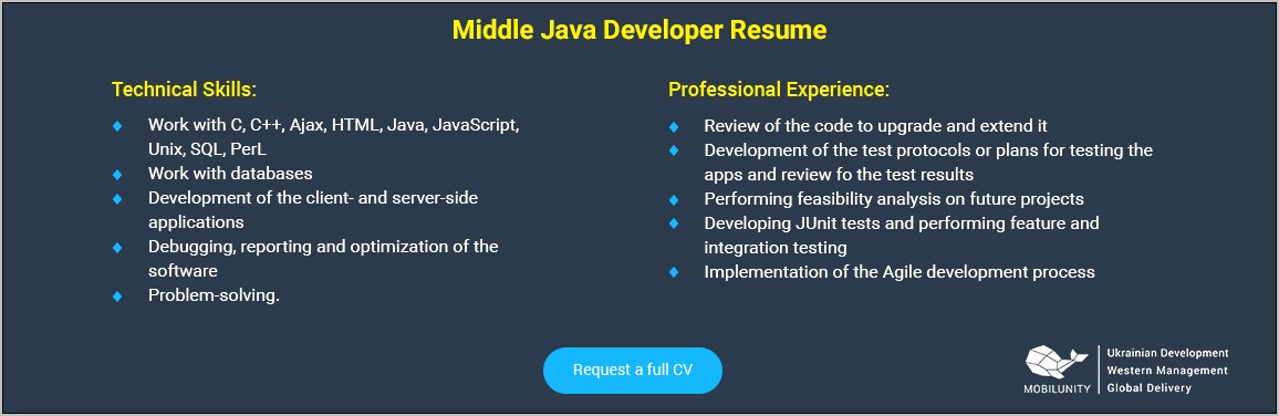 Java Resume Roles And Responsibilities Sample