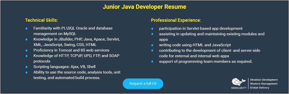 Java Tech Lead Resume Sample