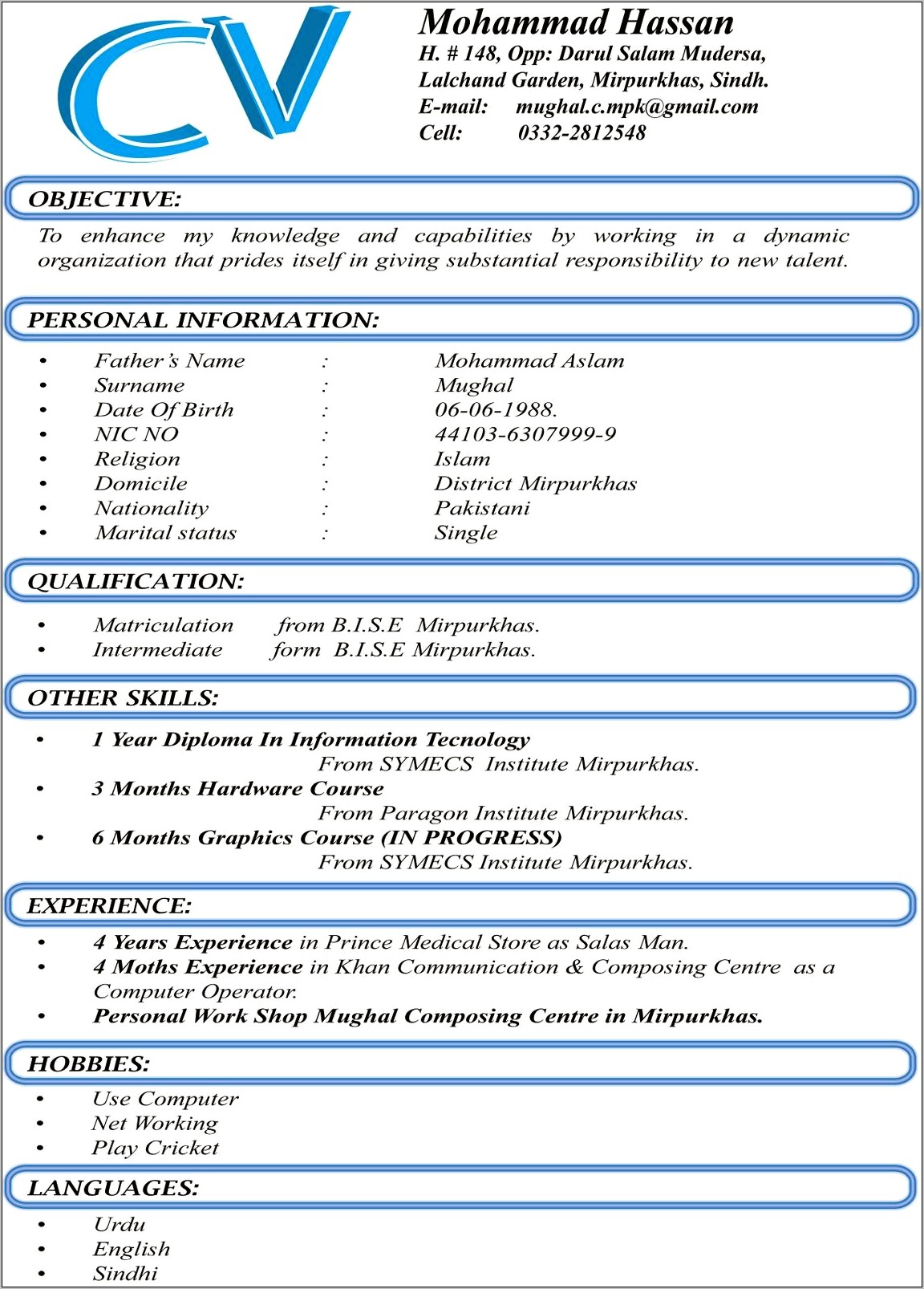 Job Application Experienced Resume Format