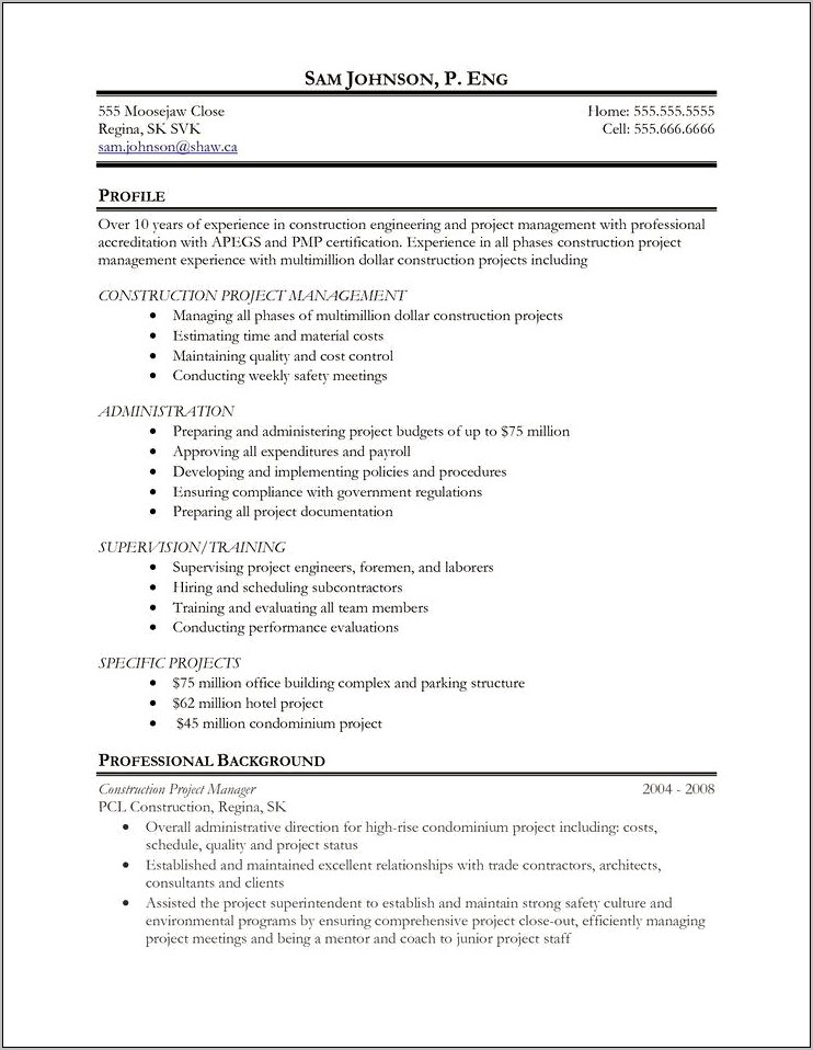 Junior Project Manager Resume Examples