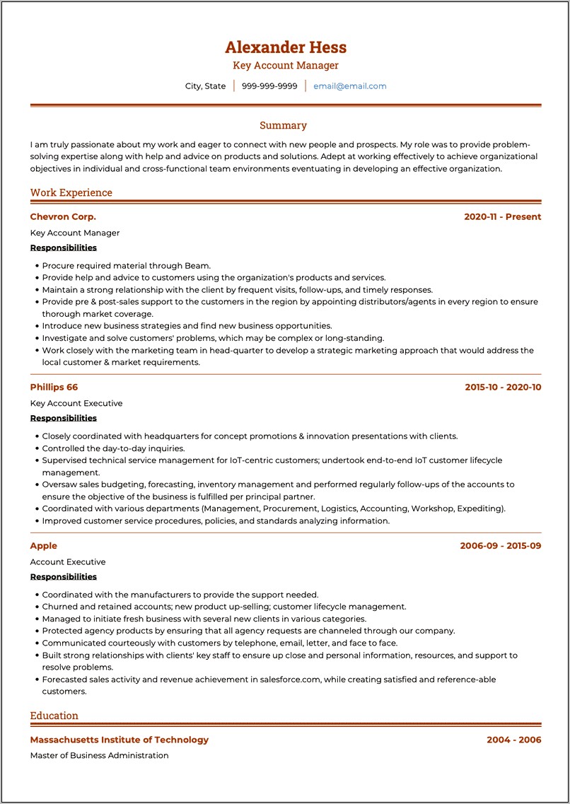 Key Account Manager Job Description Resume