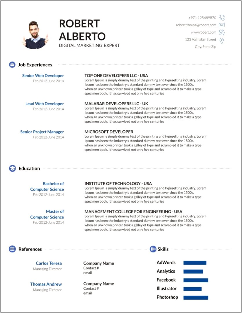 Latest Professional Resume Format In Ms Word