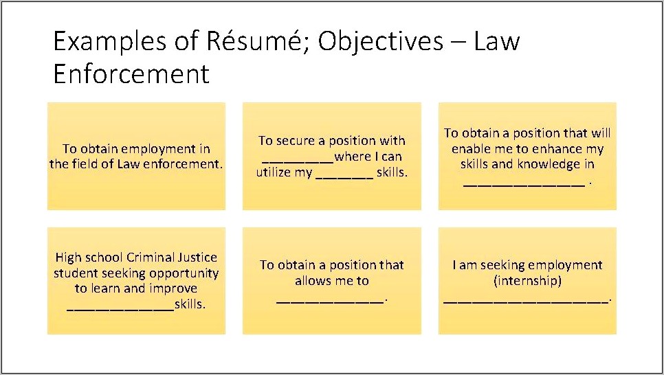 Law Enforcement Resume Opening Statement Examples