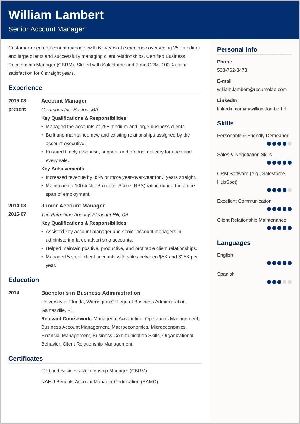 Level Of Experience Scale On Resume