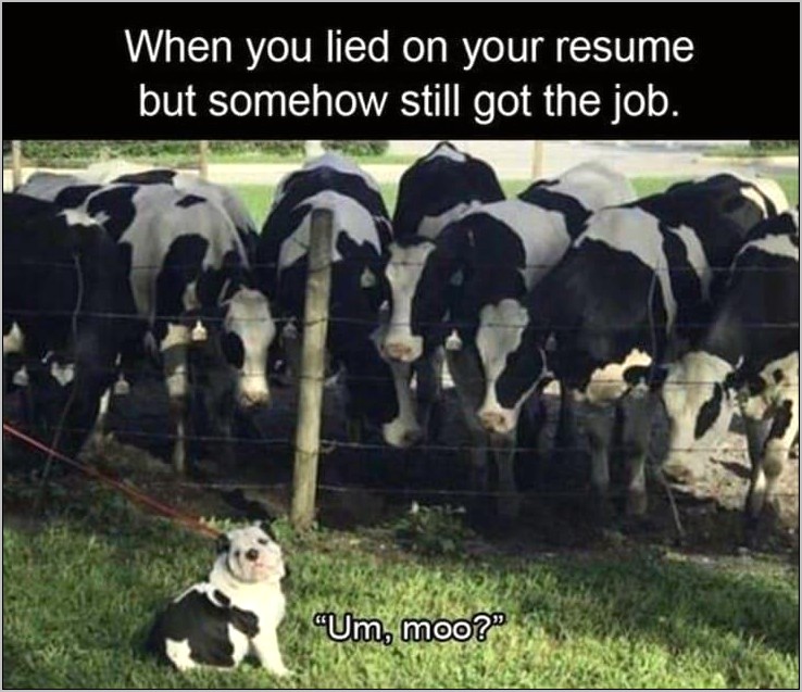 Lied On Your Resume And Get A Job