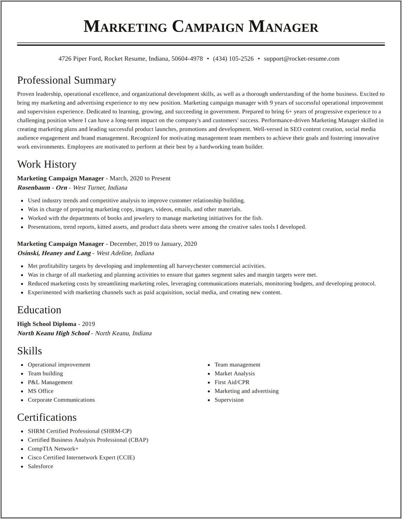 Marketing Campaign Manager Resume Example