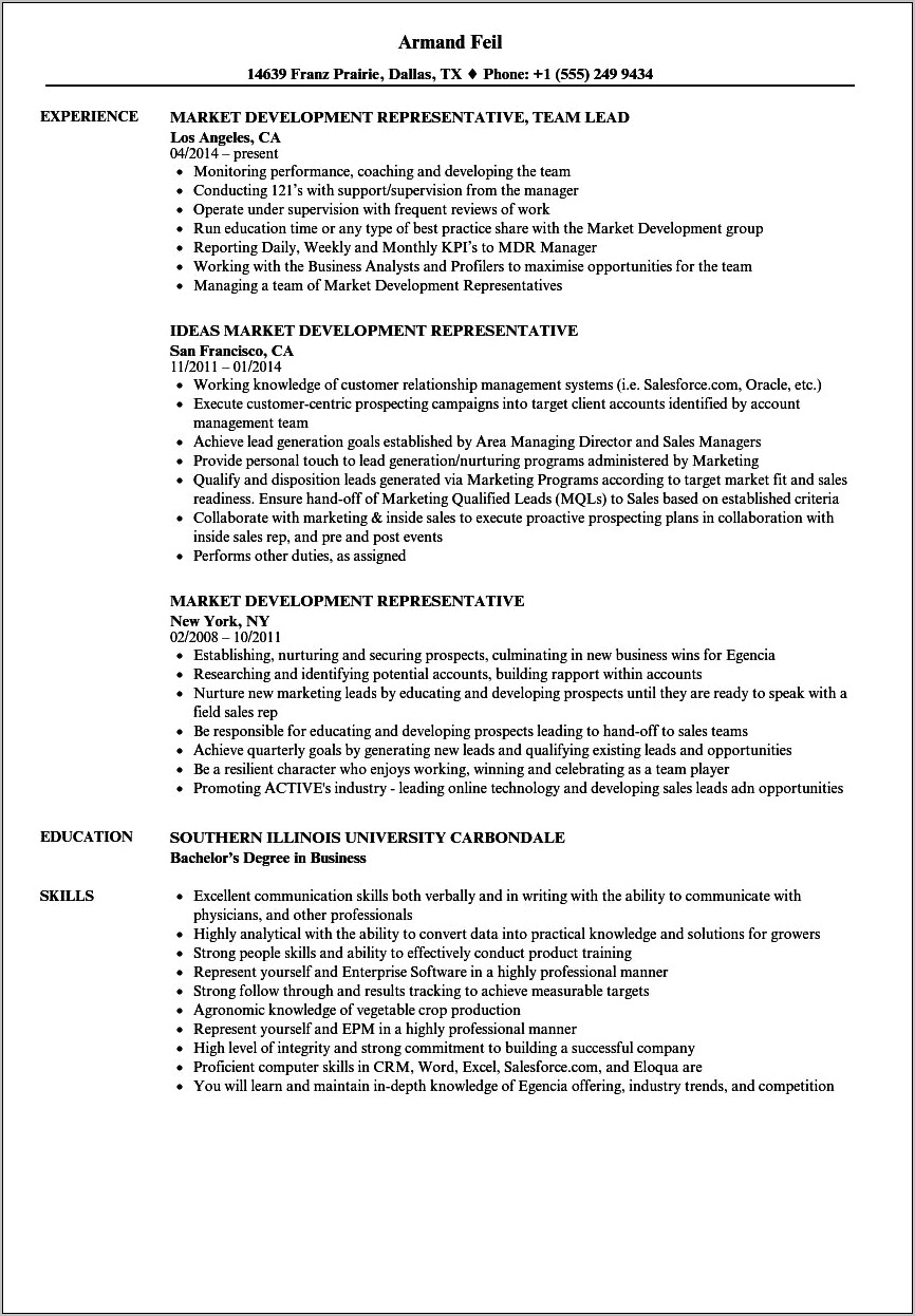 Marketing Representative Job Description For Resume