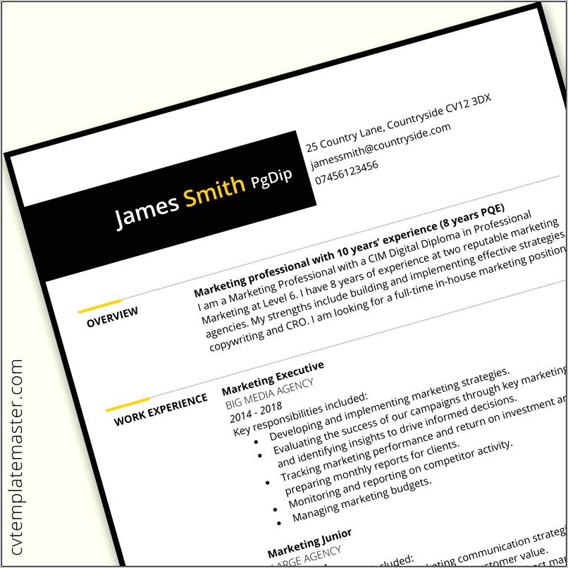 Marketing Resume Format In Word File Free Download