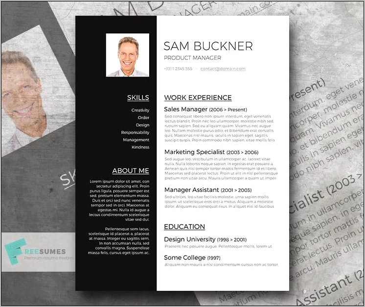 Microsoft Templates For Resumes Word 2003