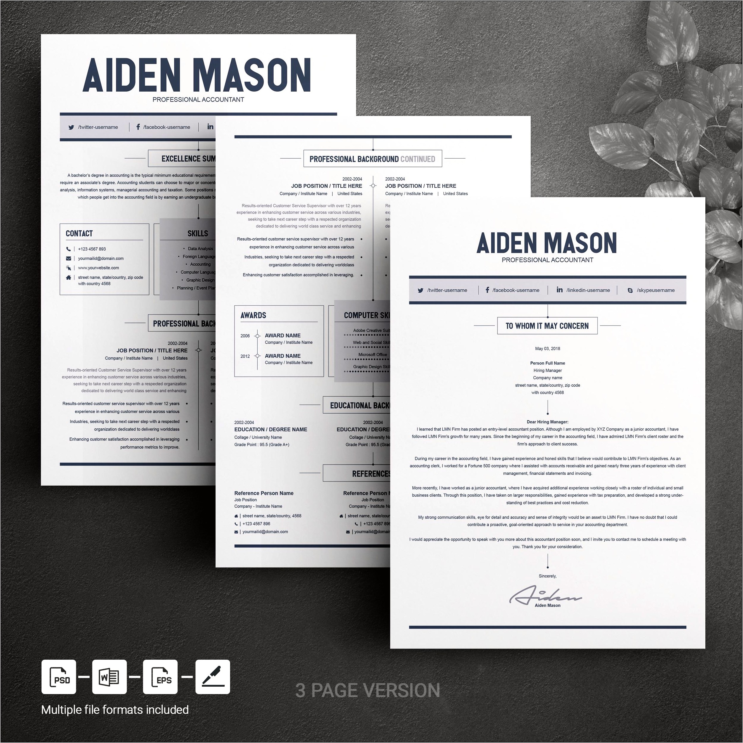 Microsoft Word 2 Page Resume Template