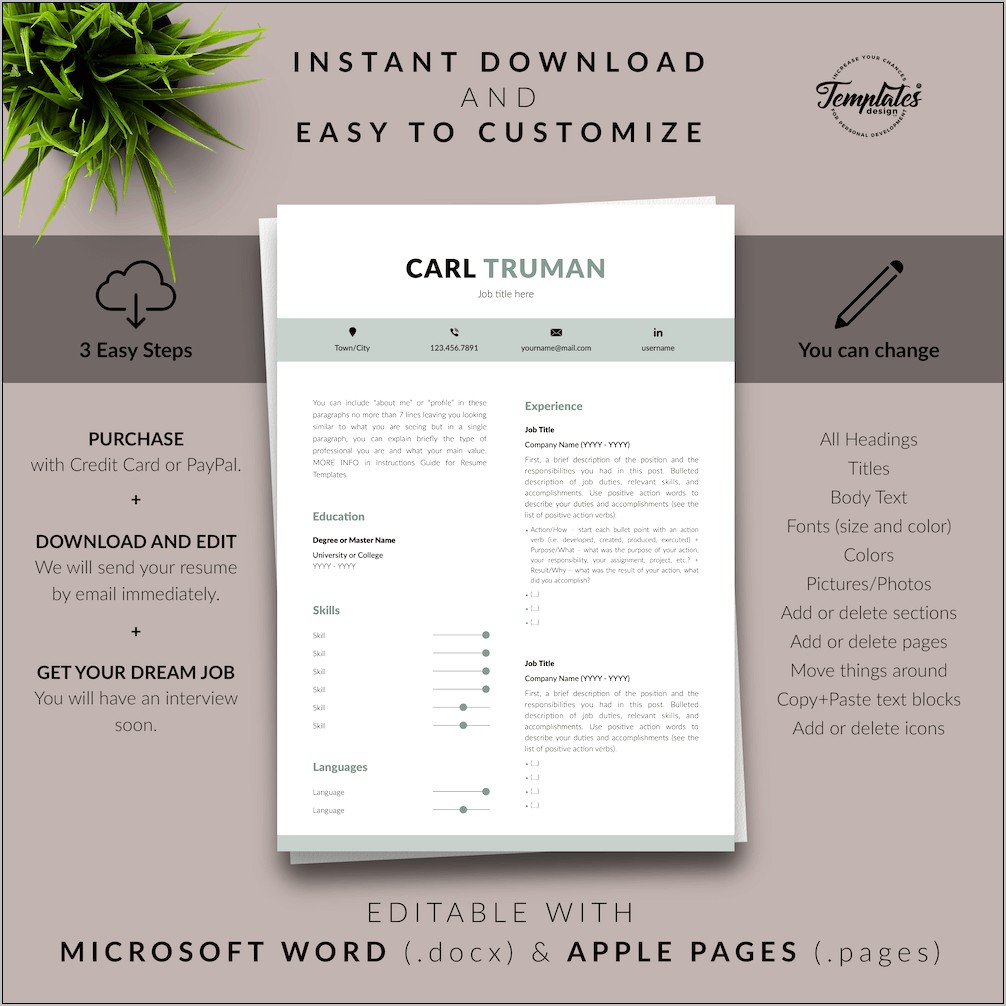 Microsoft Word Resume Template Copy And Paste