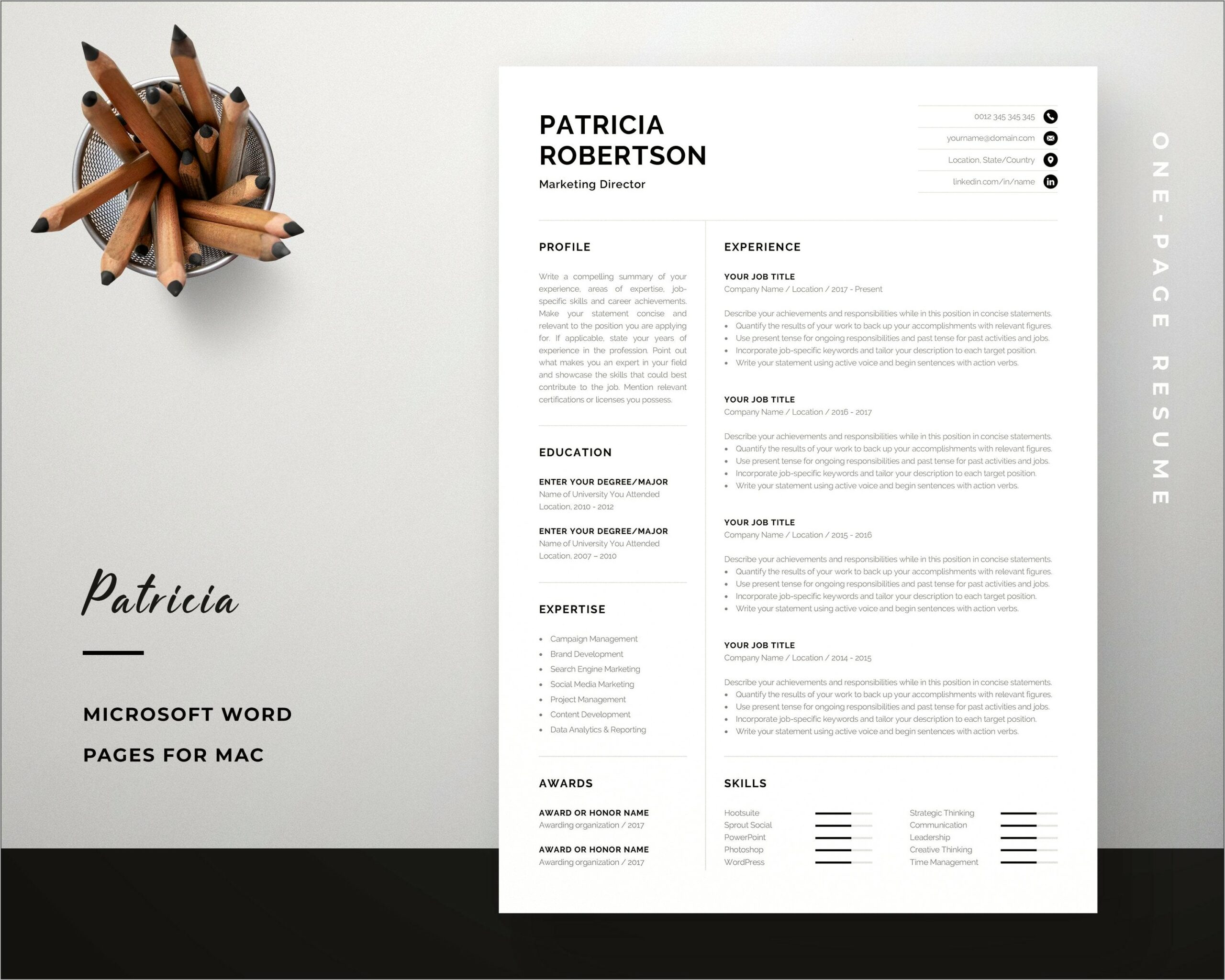 Micrsoft Word 2 Page Resume Templates