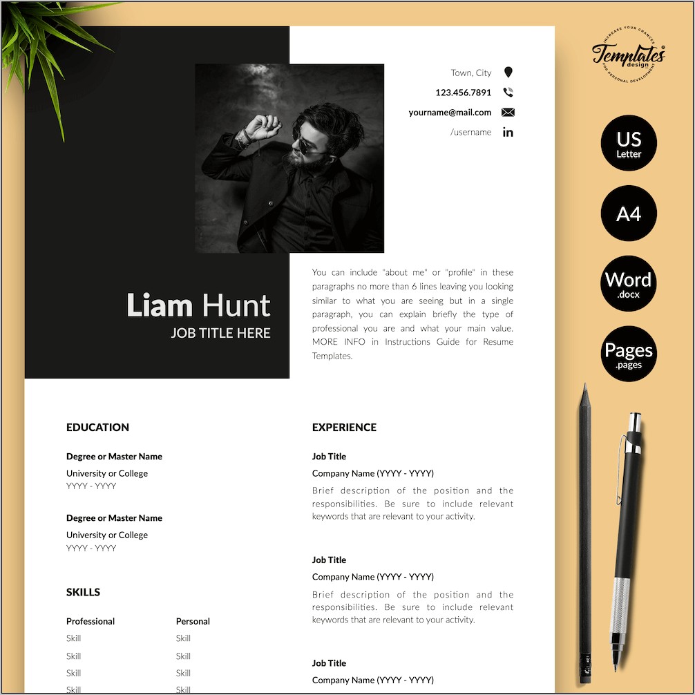 Modern It Professional Resume Examples
