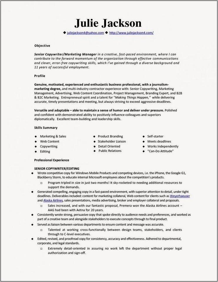 Monster Resume Example Business Relationship Manager
