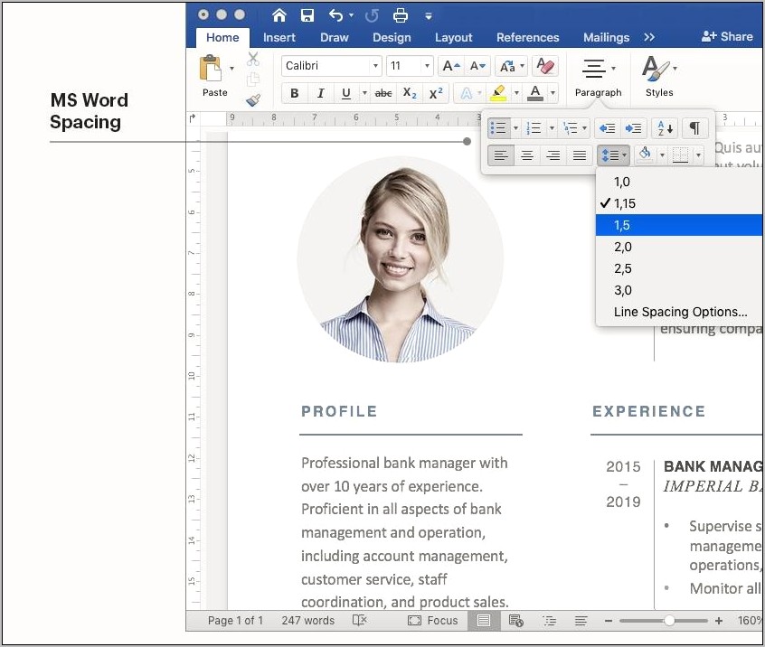 Ms Word Spaces Before After Double Lines Resume