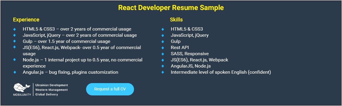 Net Developer React Js Resume Sample
