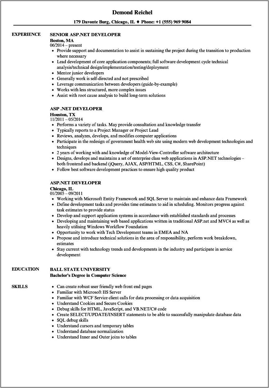 Net Developer Resume With Wpf Experience Hired People