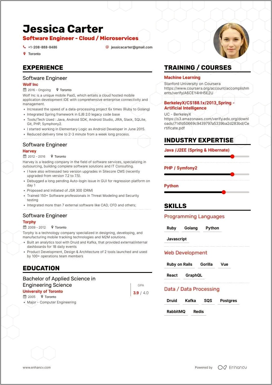 Net Sample Resume For Migration Projects