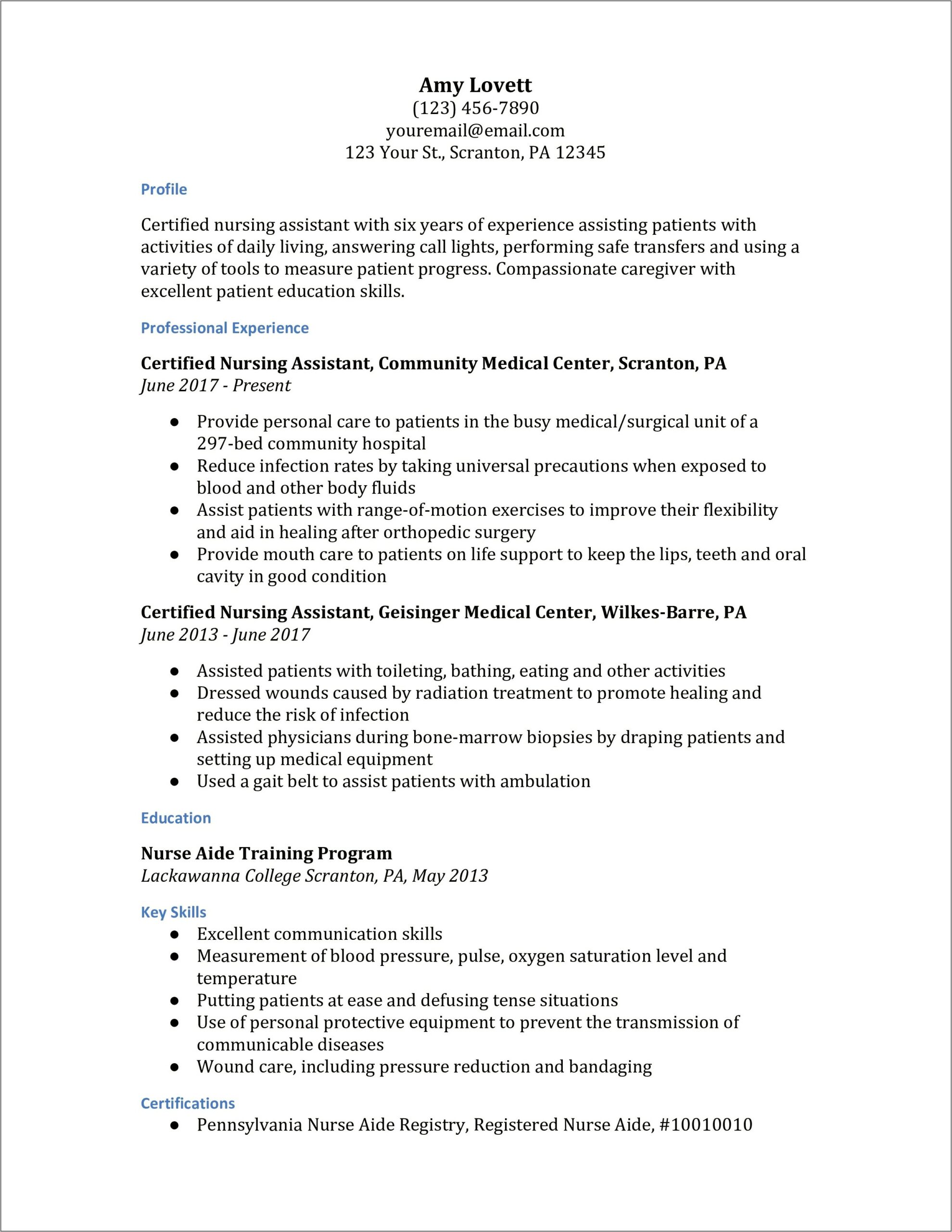 Nursing Professional Statement Examples For Resume