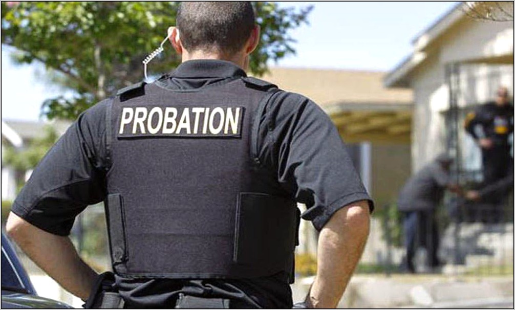 Objective For Resume Juvenile Probation Officer
