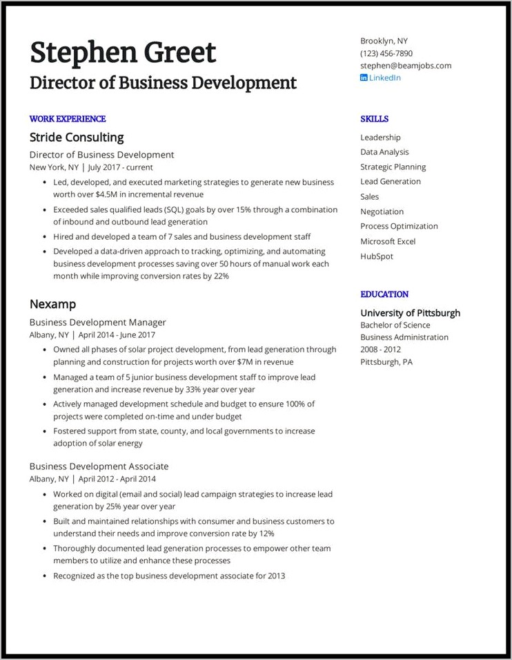 Objective Statement For Business Development Resume