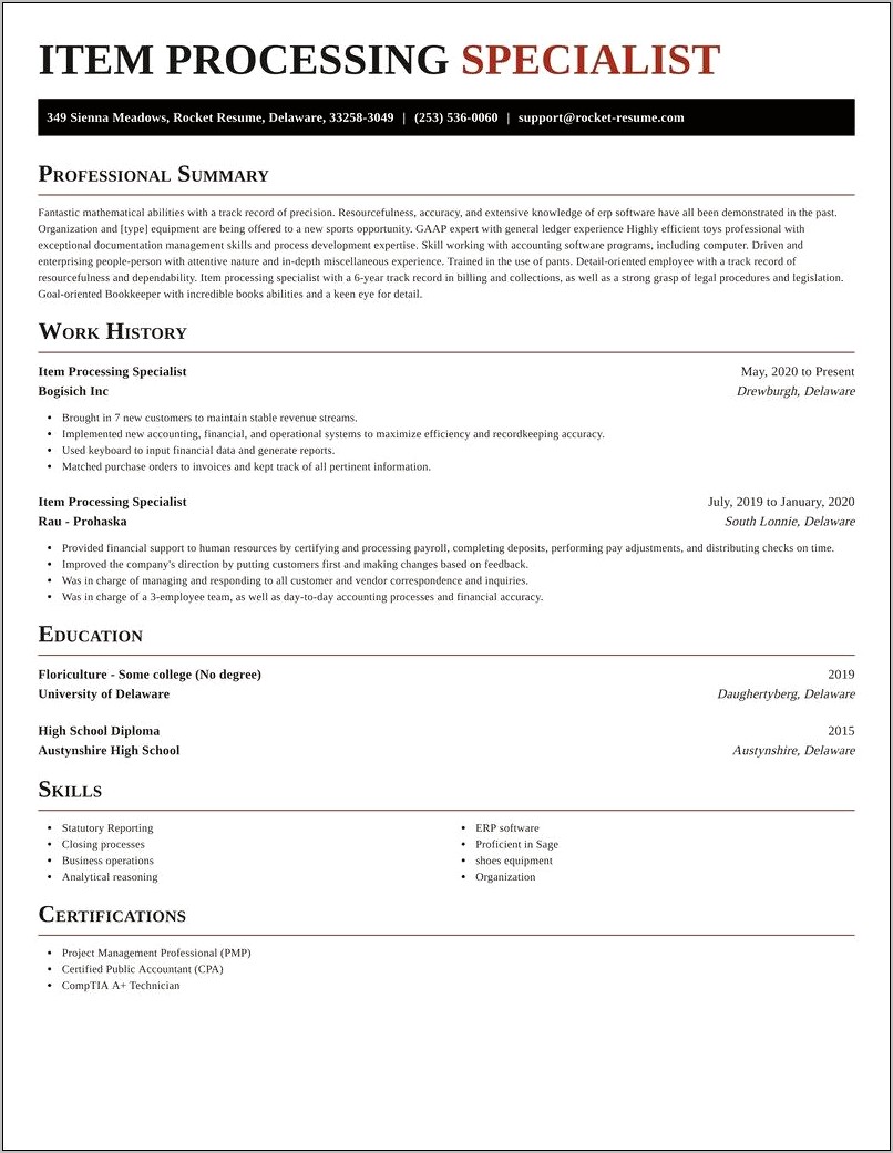 Personal Summary For Resume Item Processing Specialist
