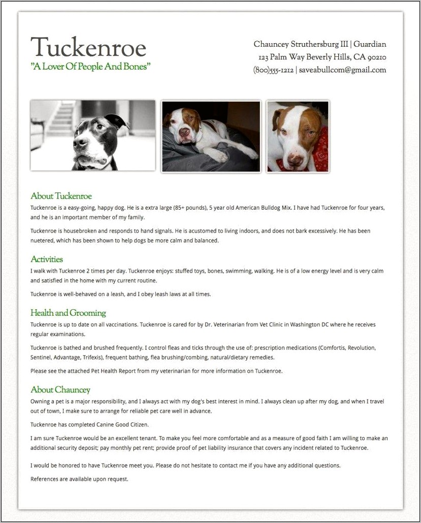 Pet Sitting With Grooming Experience Resume