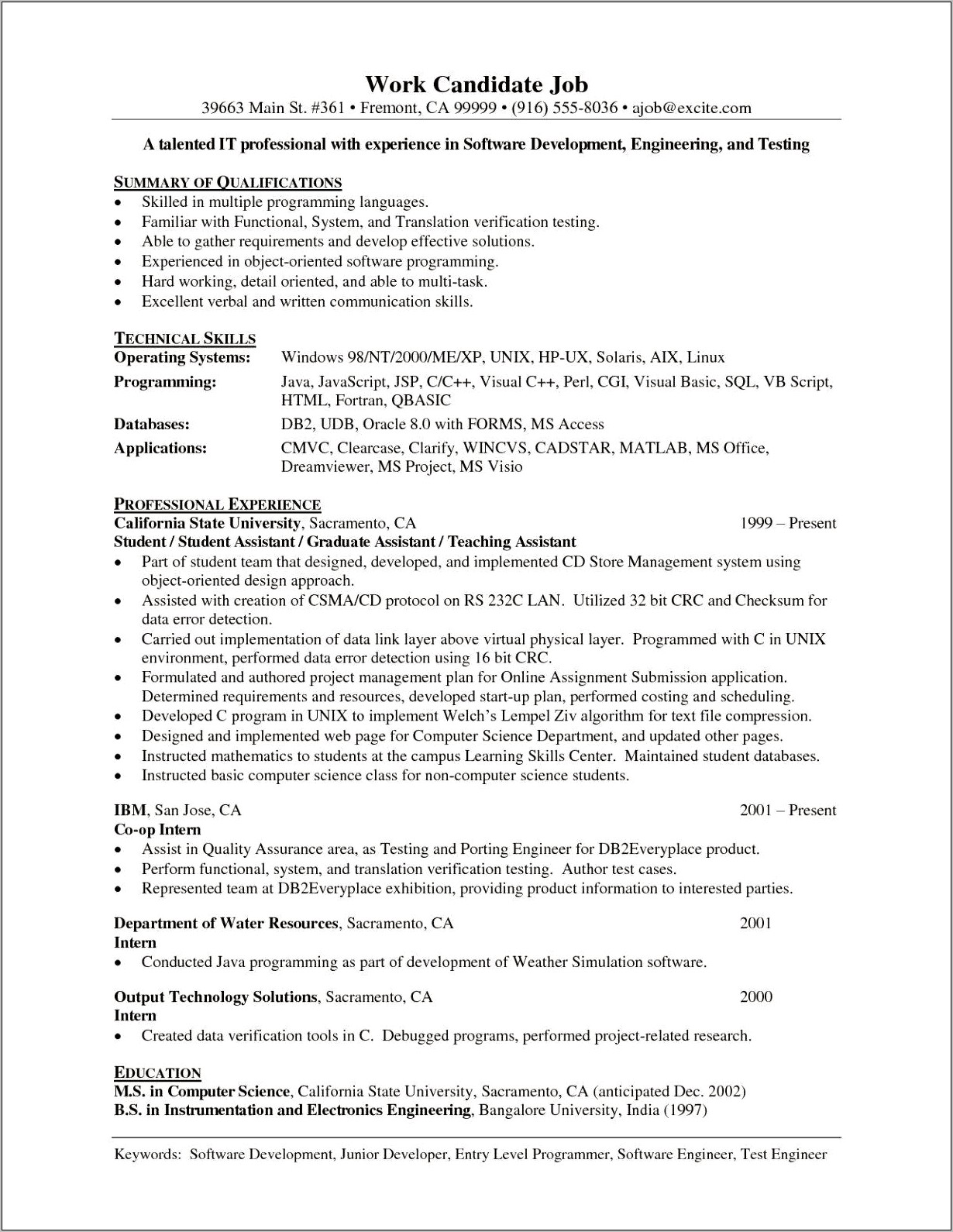Pitch Example On Resume Junior Programmer
