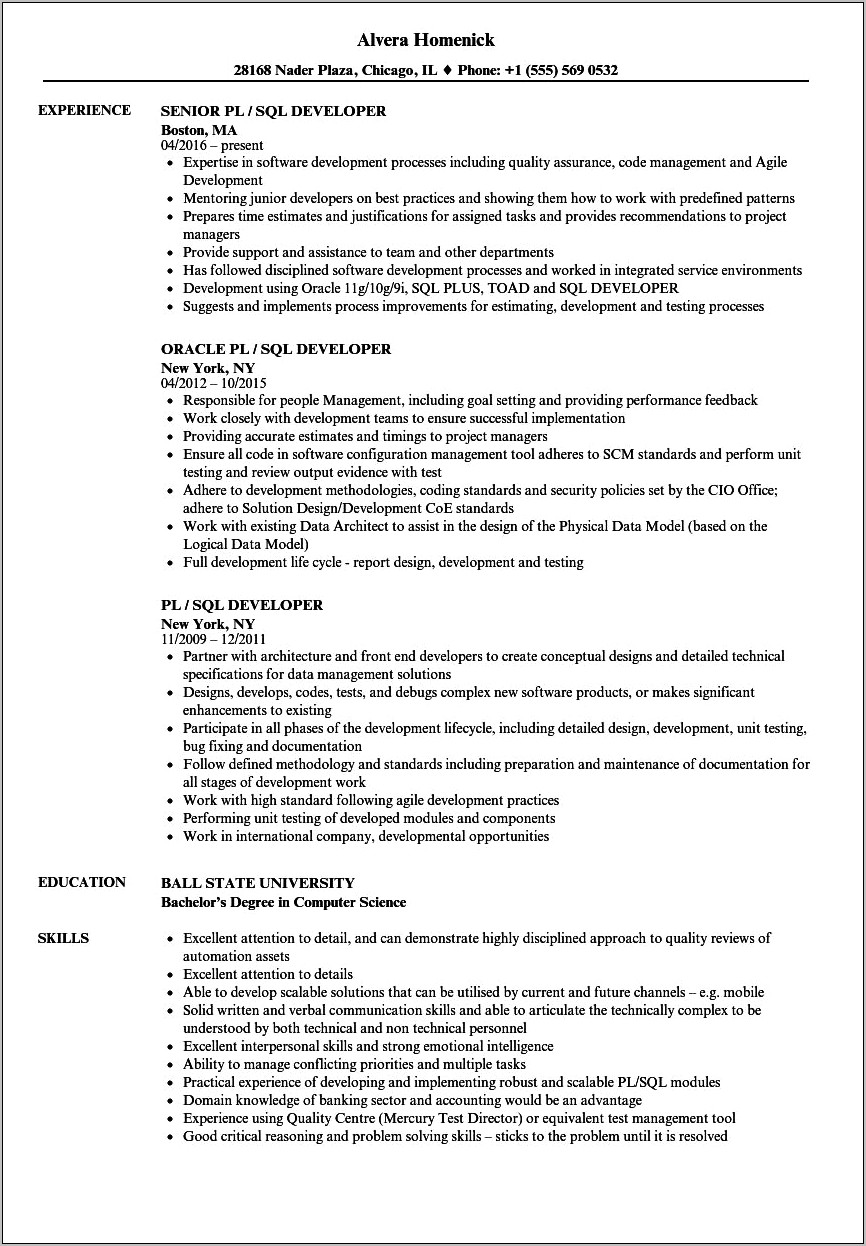 Pl Sql Developer Resume 3 Years Experience Download