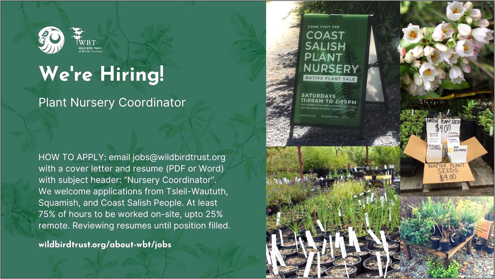 Plant Nursery Job Description For Resume