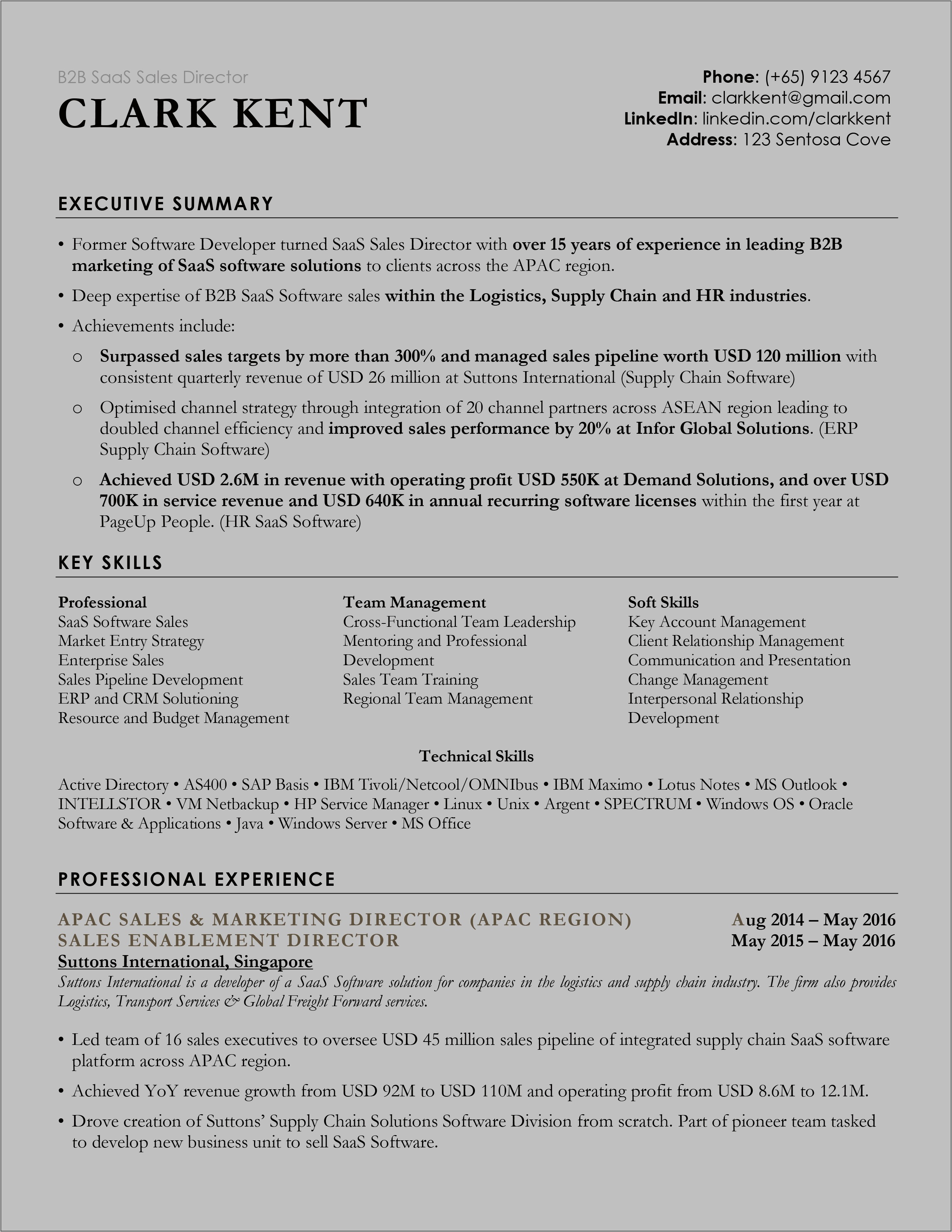 Popular Functional Resume Format Accounting Managers