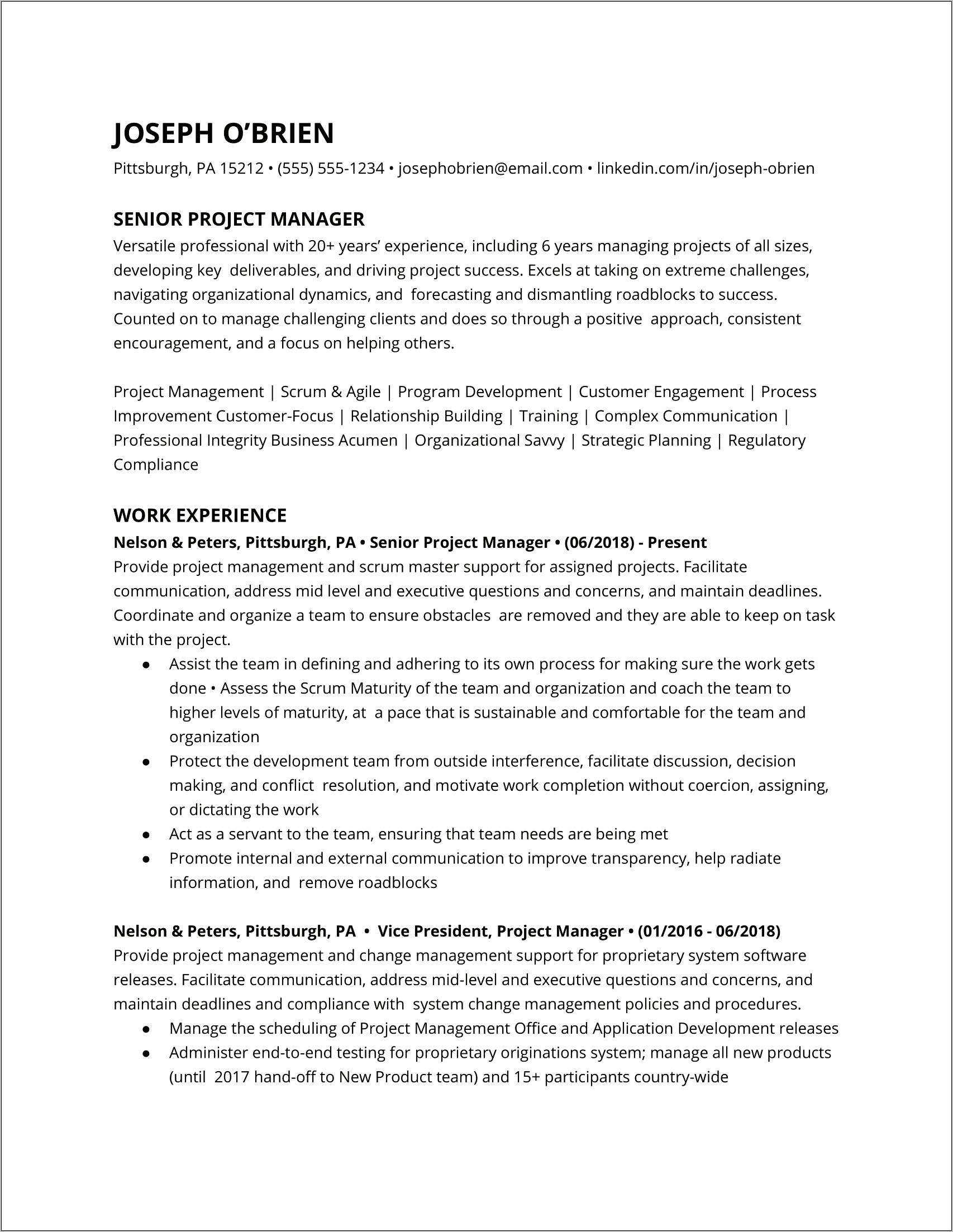 Problem Action Result Project Manager Resume