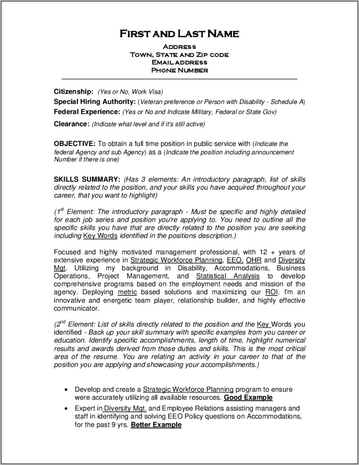 Problem Solving Examples For Resume Federal