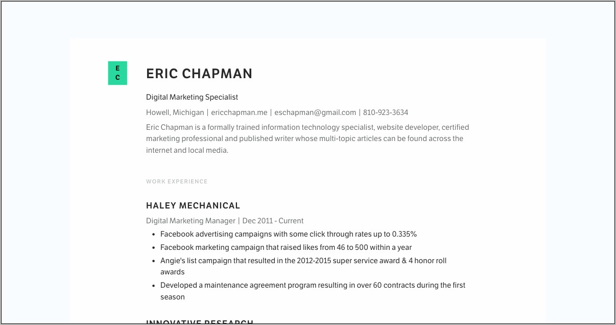 Professional Digital Marketing Manager Resume Template To Buy