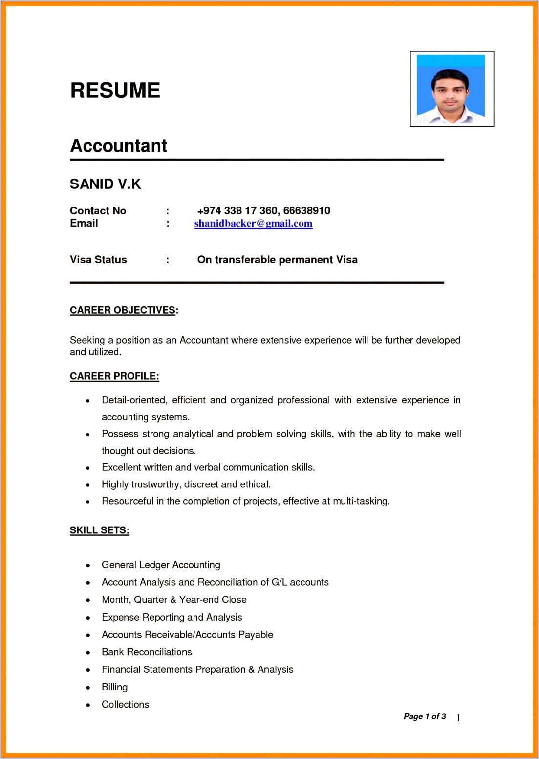 Professional Job Application Resume Format Pdf