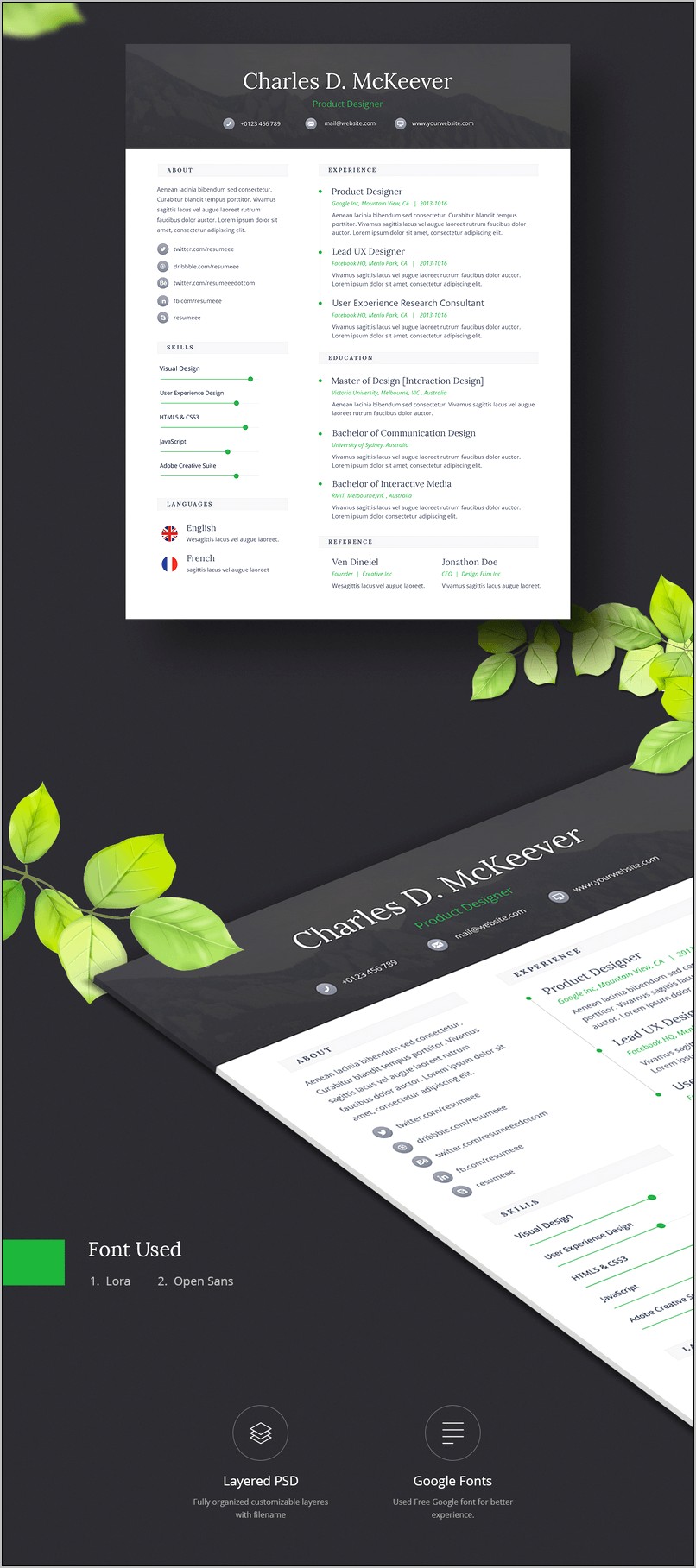 Professional One Page Resume Psd Template