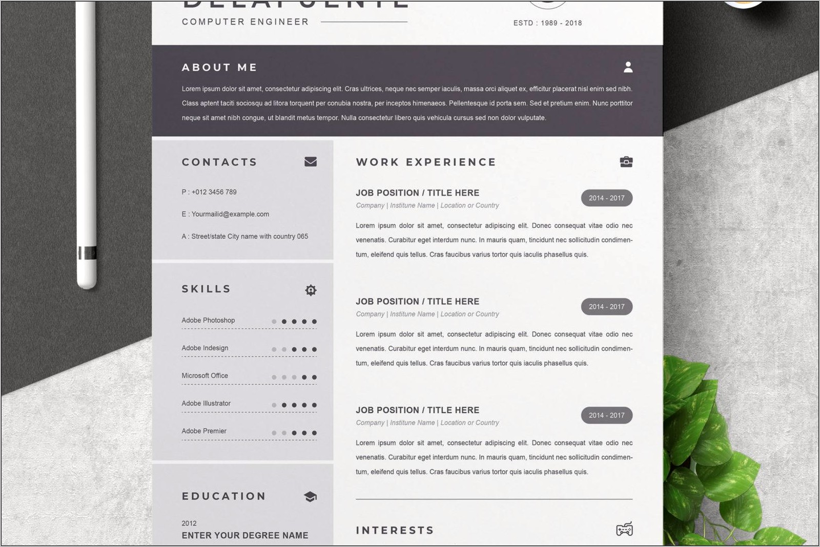 Professional One Page Resume Template Free